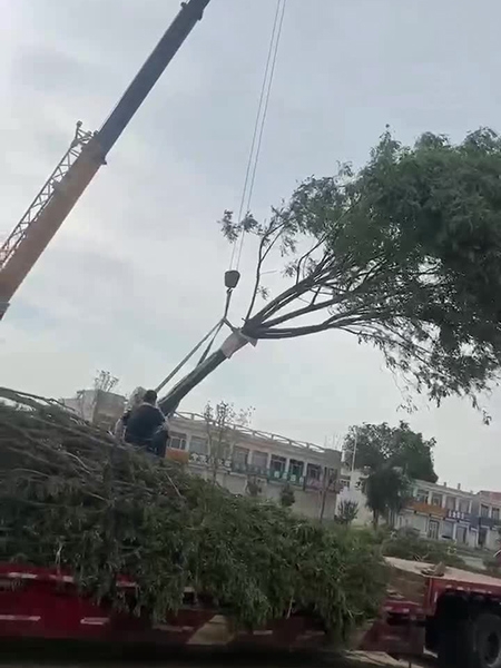 裝車現場（視頻）