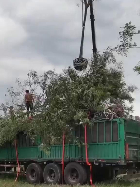 裝車現場（視頻）